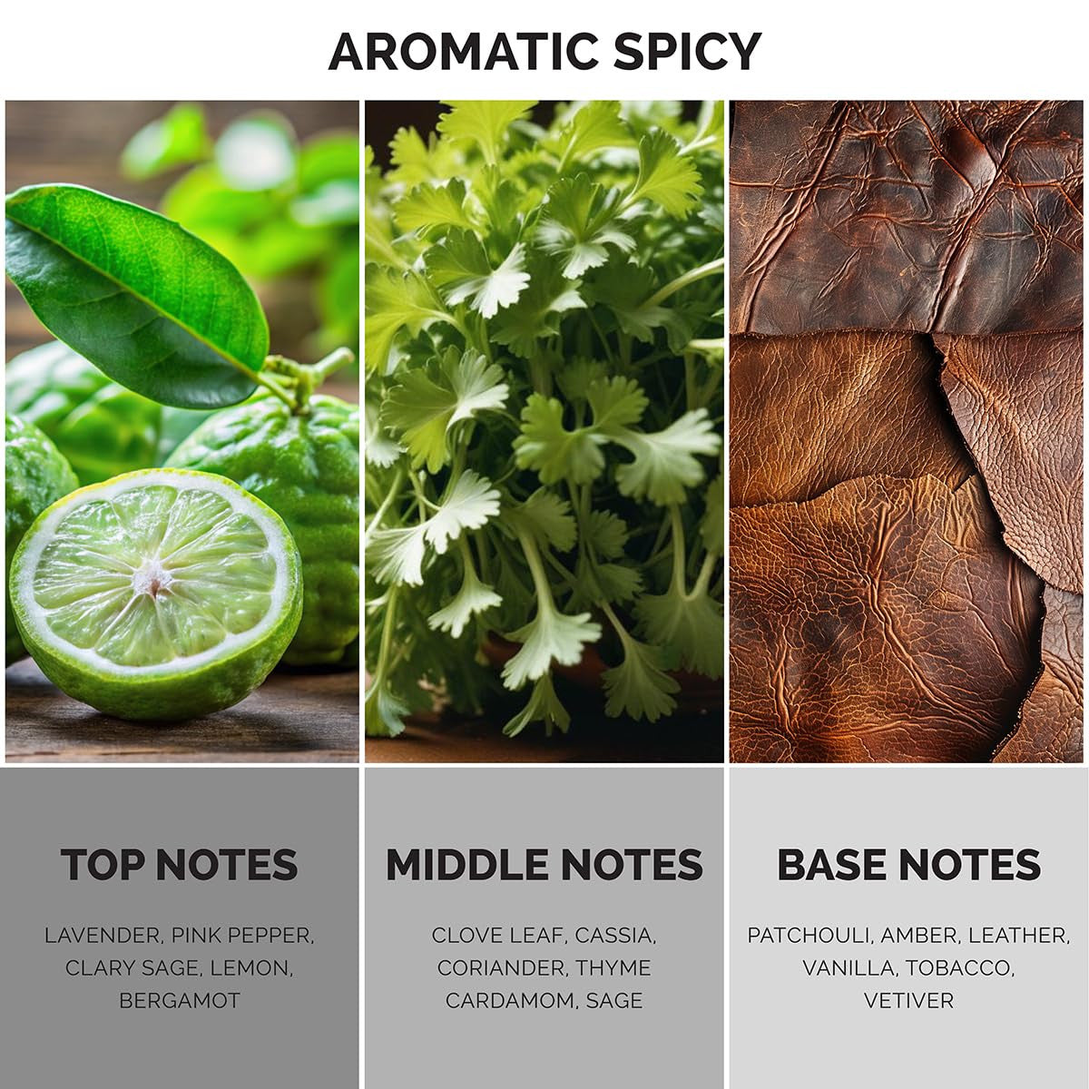 MAISON DE L'AVENIR VORTEX ECHO EDP 3.4 U